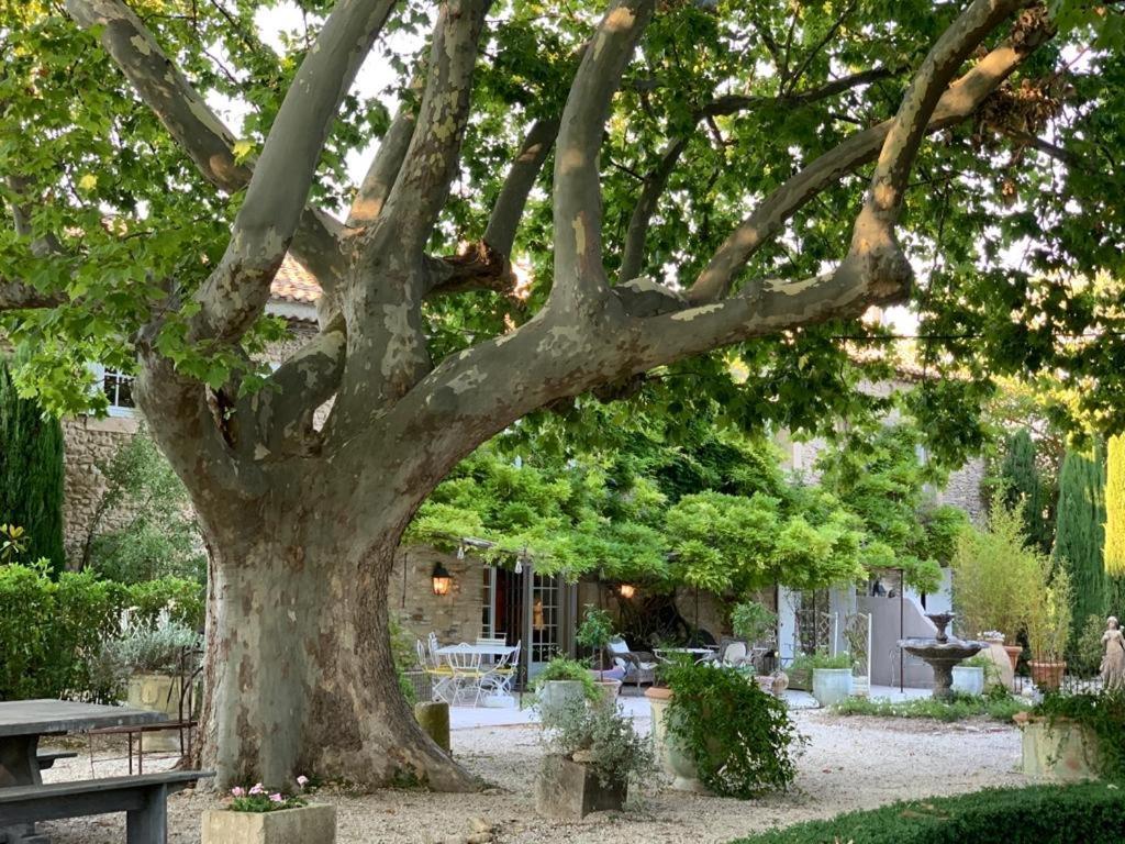 Le Clos De Lucie Lagnes Dış mekan fotoğraf